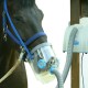 Inhalateur à ultrasons pour chevaux AirOne